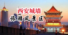 手机看专照老女人操B中国陕西-西安城墙旅游风景区