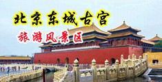 干熟女日日干。中国北京-东城古宫旅游风景区